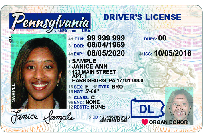california driver s license class am1